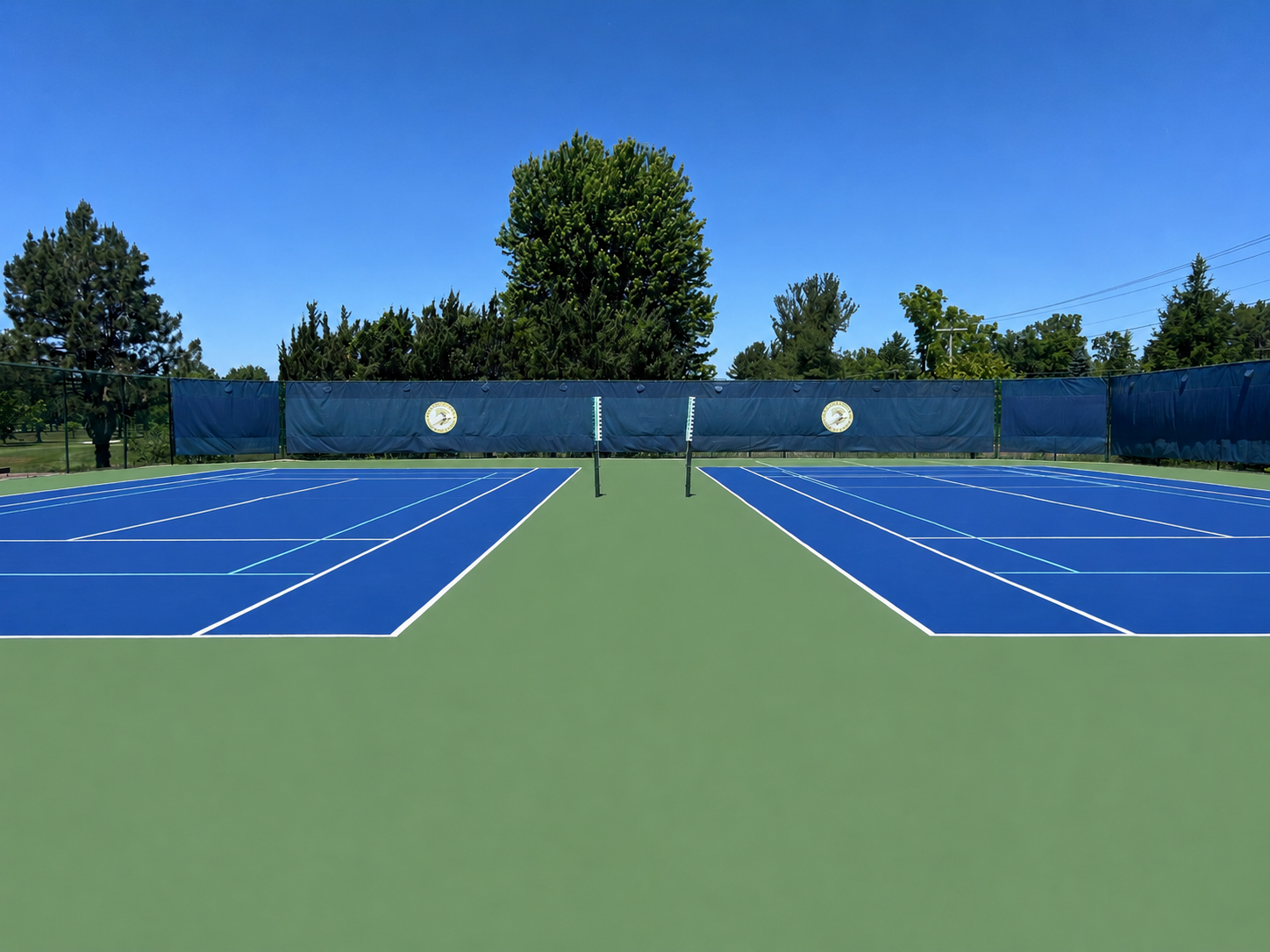 Two blue tennis courts with net and trees